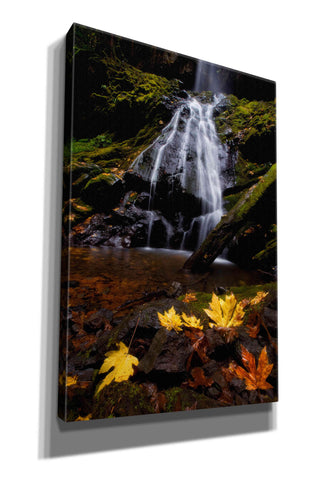Image of 'Waterfall Maple Leaves' by Thomas Haney, Giclee Canvas Wall Art