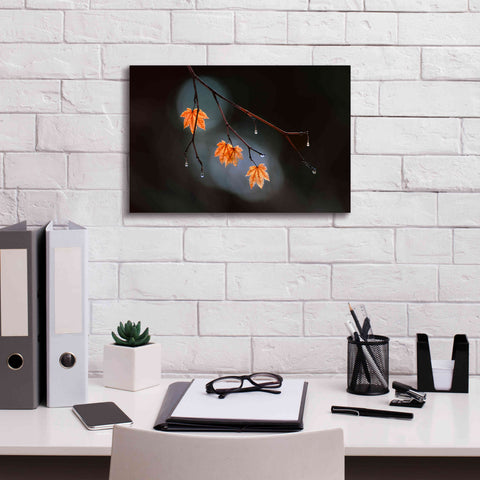 Image of 'Wet Fall' by Thomas Haney, Giclee Canvas Wall Art,18 x 12