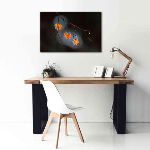 Image of 'Wet Fall' by Thomas Haney, Giclee Canvas Wall Art,40 x 26