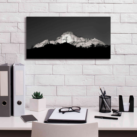 Image of 'Zion Tree Silhouette' by Thomas Haney, Giclee Canvas Wall Art,24 x 12