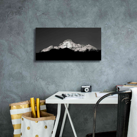 Image of 'Zion Tree Silhouette' by Thomas Haney, Giclee Canvas Wall Art,24 x 12