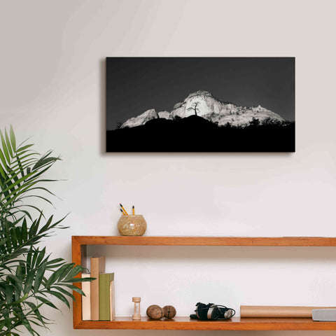 Image of 'Zion Tree Silhouette' by Thomas Haney, Giclee Canvas Wall Art,24 x 12