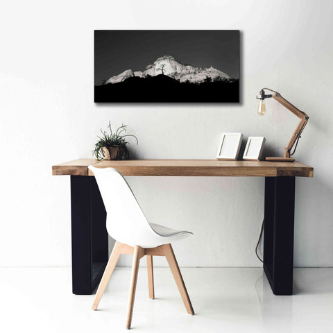 Image of 'Zion Tree Silhouette' by Thomas Haney, Giclee Canvas Wall Art,40 x 20