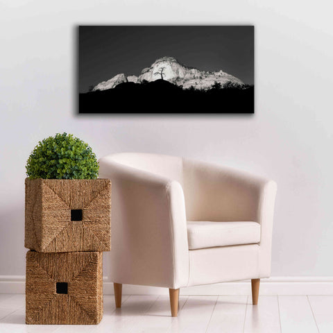 Image of 'Zion Tree Silhouette' by Thomas Haney, Giclee Canvas Wall Art,40 x 20