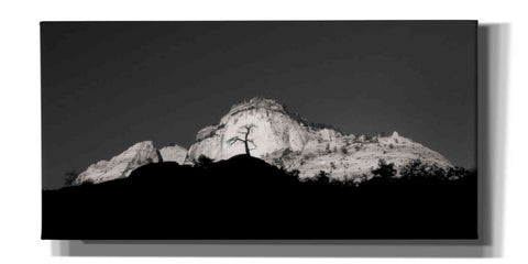 Image of 'Zion Tree Silhouette' by Thomas Haney, Giclee Canvas Wall Art