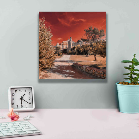 Image of 'IRadiation' by Sebastien Lory, Giclee Canvas Wall Art,12 x 12