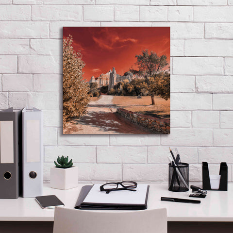 Image of 'IRadiation' by Sebastien Lory, Giclee Canvas Wall Art,18 x 18