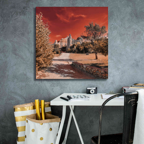 Image of 'IRadiation' by Sebastien Lory, Giclee Canvas Wall Art,26 x 26