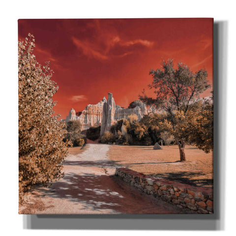 Image of 'IRadiation' by Sebastien Lory, Giclee Canvas Wall Art