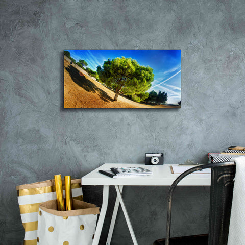 Image of 'Summer Tree' by Sebastien Lory, Giclee Canvas Wall Art,24 x 12