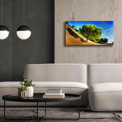 Image of 'Summer Tree' by Sebastien Lory, Giclee Canvas Wall Art,40 x 20
