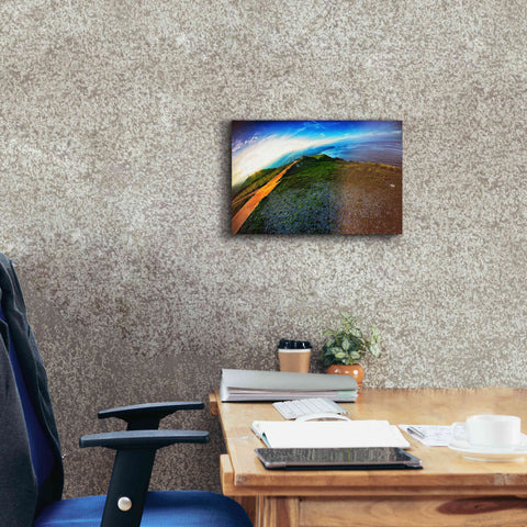 Image of 'Cap Bear' by Sebastien Lory, Giclee Canvas Wall Art,18 x 12
