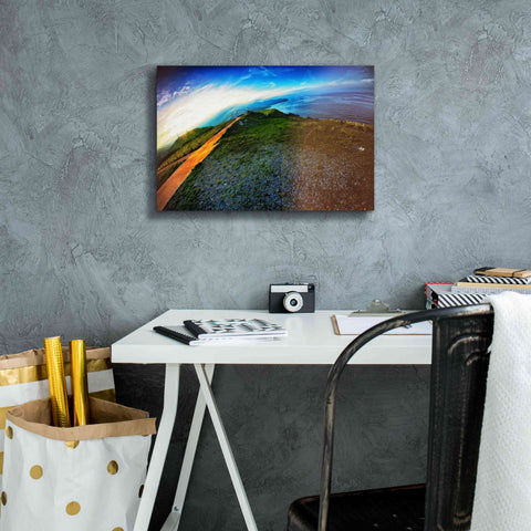 Image of 'Cap Bear' by Sebastien Lory, Giclee Canvas Wall Art,18 x 12