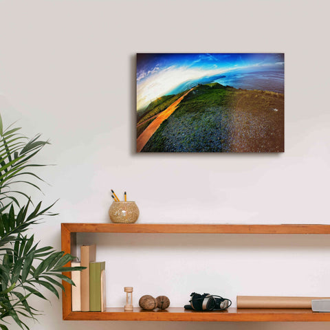 Image of 'Cap Bear' by Sebastien Lory, Giclee Canvas Wall Art,18 x 12