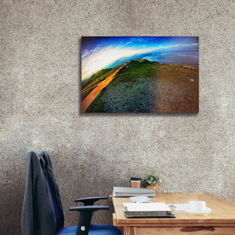 Image of 'Cap Bear' by Sebastien Lory, Giclee Canvas Wall Art,40 x 26