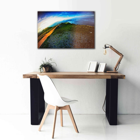 Image of 'Cap Bear' by Sebastien Lory, Giclee Canvas Wall Art,40 x 26