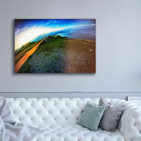 Image of 'Cap Bear' by Sebastien Lory, Giclee Canvas Wall Art,60 x 40