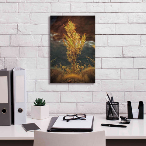 Image of 'View Point' by Sebastien Lory, Giclee Canvas Wall Art,12 x 18