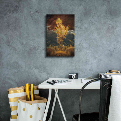 Image of 'View Point' by Sebastien Lory, Giclee Canvas Wall Art,12 x 18