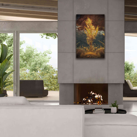 Image of 'View Point' by Sebastien Lory, Giclee Canvas Wall Art,26 x 40