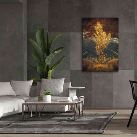 Image of 'View Point' by Sebastien Lory, Giclee Canvas Wall Art,40 x 60