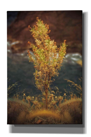 Image of 'View Point' by Sebastien Lory, Giclee Canvas Wall Art
