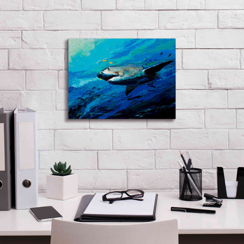 Image of 'The Mighty Bull Shark' by Jace D McTier, Giclee Canvas Wall Art,16 x 12
