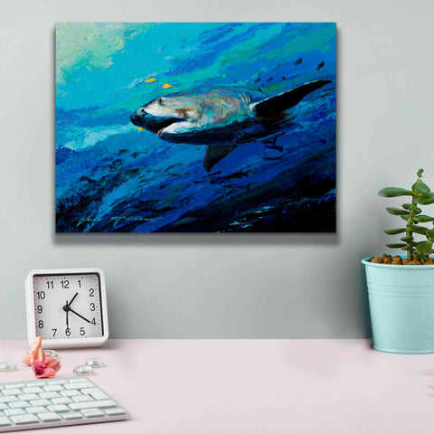 Image of 'The Mighty Bull Shark' by Jace D McTier, Giclee Canvas Wall Art,16 x 12