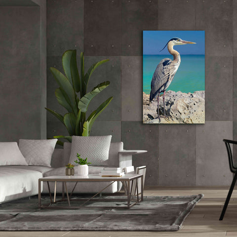 Image of 'Blue Heron' by Mike Jones, Giclee Canvas Wall Art,40 x 60