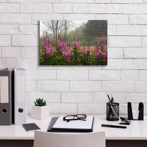 Image of 'Campobello Lupine' by Mike Jones, Giclee Canvas Wall Art,18 x 12