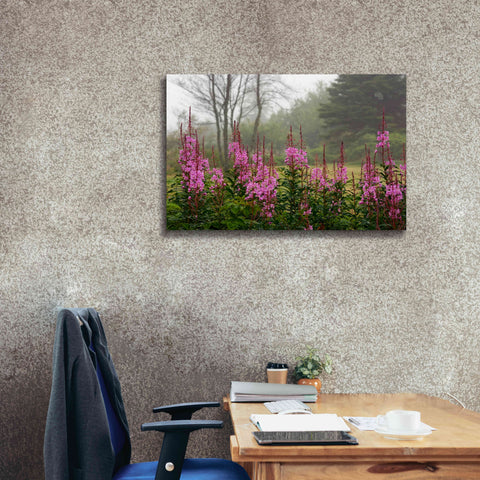 Image of 'Campobello Lupine' by Mike Jones, Giclee Canvas Wall Art,40 x 26