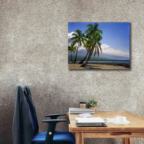 Image of 'City Of Refuge' by Mike Jones, Giclee Canvas Wall Art,34 x 26