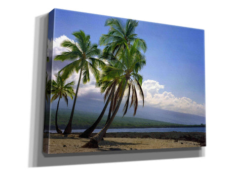 Image of 'City Of Refuge' by Mike Jones, Giclee Canvas Wall Art