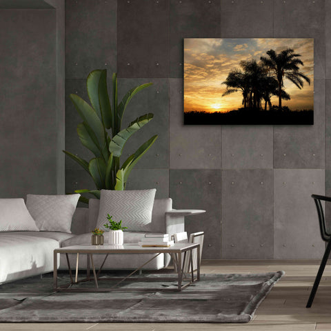 Image of 'Everglades Sunrise' by Mike Jones, Giclee Canvas Wall Art,60 x 40