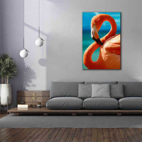 Image of 'Flamingo' by Mike Jones, Giclee Canvas Wall Art,40 x 60