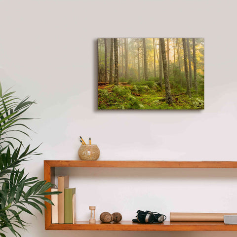 Image of 'Foggy Fire Woods' by Mike Jones, Giclee Canvas Wall Art,18 x 12