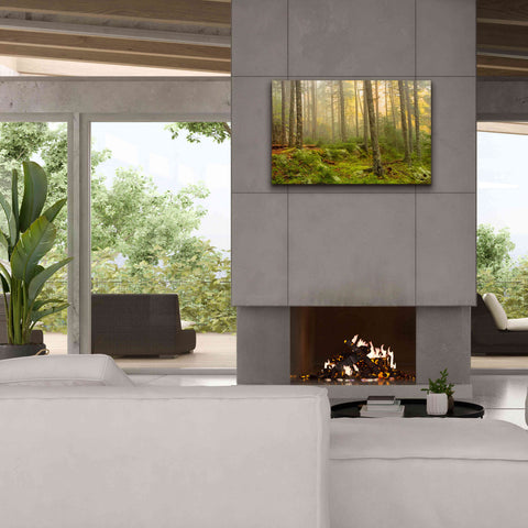 Image of 'Foggy Fire Woods' by Mike Jones, Giclee Canvas Wall Art,40 x 26