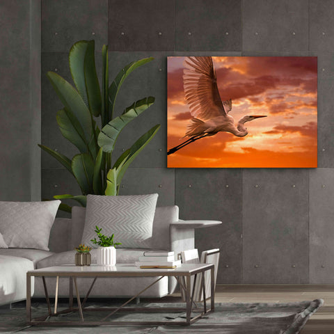 Image of 'Heron Sunset' by Mike Jones, Giclee Canvas Wall Art,54 x 40