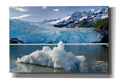 Image of 'Iceburg' by Mike Jones, Giclee Canvas Wall Art