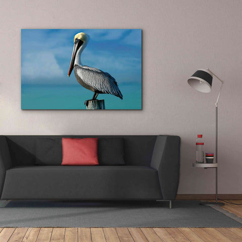 Image of 'Pelican' by Mike Jones, Giclee Canvas Wall Art,60 x 40