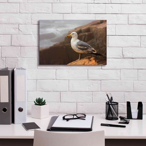 Image of 'Seagull' by Mike Jones, Giclee Canvas Wall Art,18 x 12