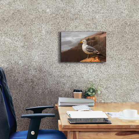 Image of 'Seagull' by Mike Jones, Giclee Canvas Wall Art,18 x 12