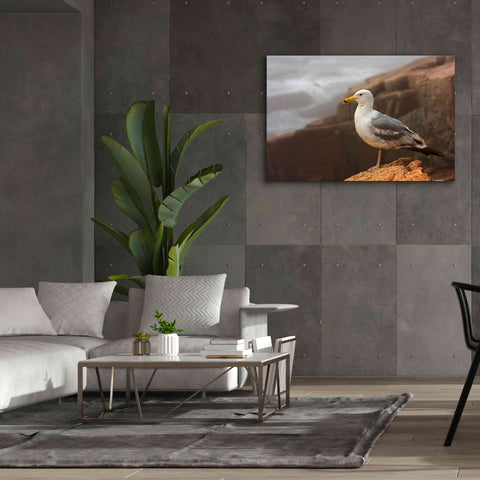 Image of 'Seagull' by Mike Jones, Giclee Canvas Wall Art,60 x 40