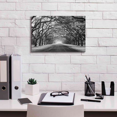 Image of 'Wormsloe Inf Light' by Mike Jones, Giclee Canvas Wall Art,18 x 12