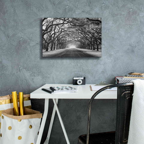 Image of 'Wormsloe Inf Light' by Mike Jones, Giclee Canvas Wall Art,18 x 12