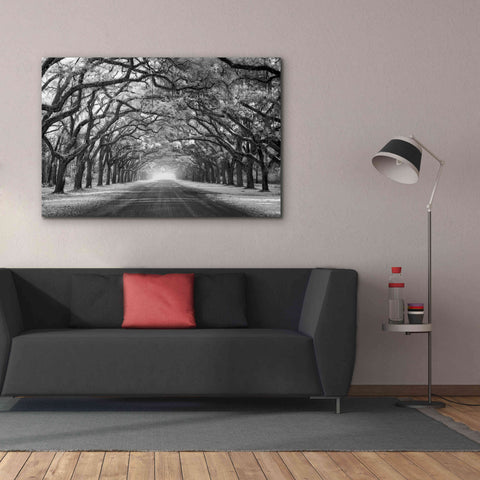 Image of 'Wormsloe Inf Light' by Mike Jones, Giclee Canvas Wall Art,60 x 40