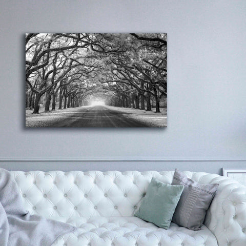 Image of 'Wormsloe Inf Light' by Mike Jones, Giclee Canvas Wall Art,60 x 40