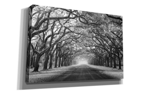 Image of 'Wormsloe Inf Light' by Mike Jones, Giclee Canvas Wall Art