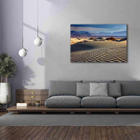 Image of 'Death Valley Mesquite Dunes' by Mike Jones, Giclee Canvas Wall Art,60 x 40