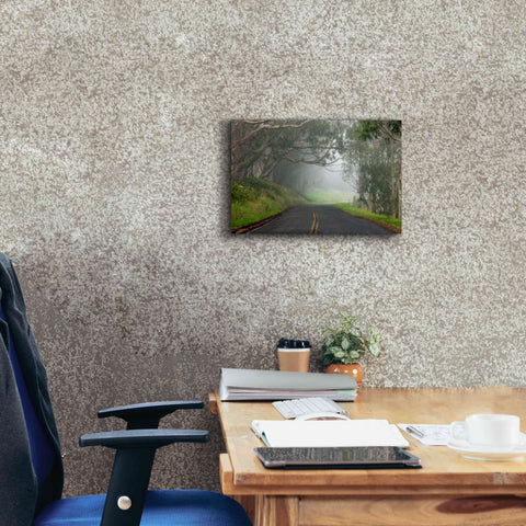 Image of 'Foggy Road near Dillon Beach' by Mike Jones, Giclee Canvas Wall Art,18 x 12
